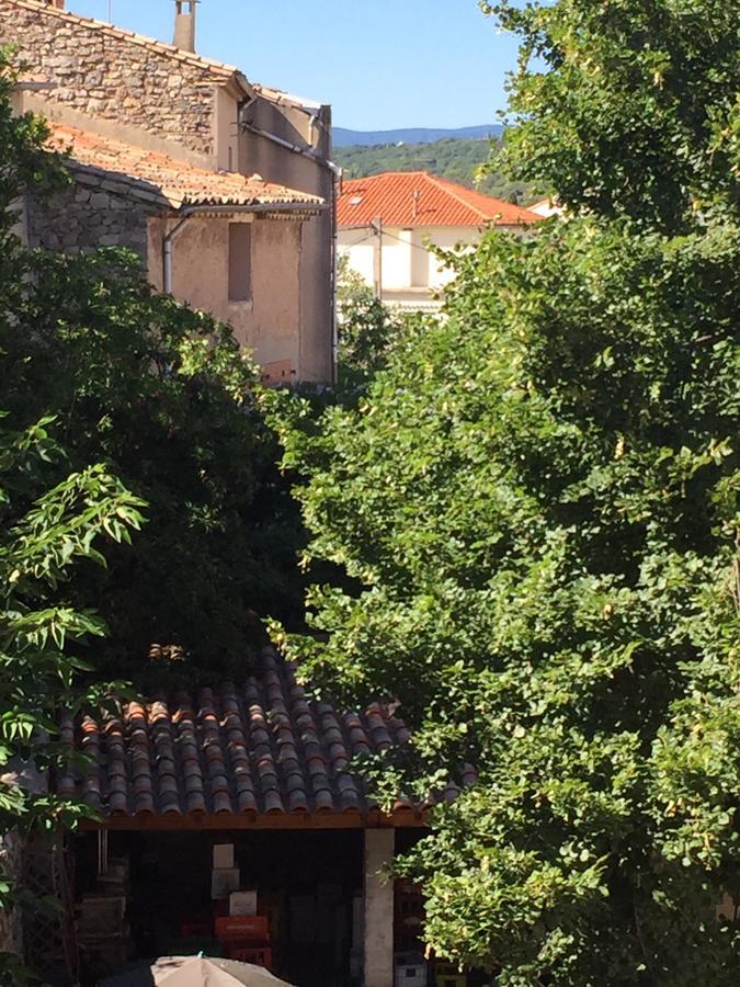 Hotel Le Salagou Clermont-lʼHérault Buitenkant foto
